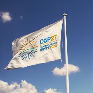COP27 Flag