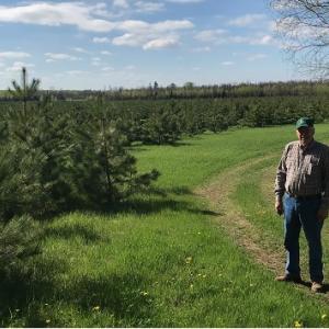 person standing outside next to a large plot of small trees