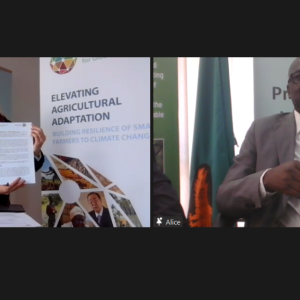 Signing of the Memorandum of Understanding during an online ceremony