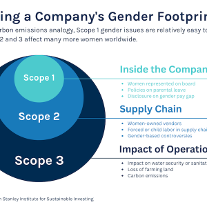 Framing a Company's Gender Footprint Using a carbon emissions analogy, Scope 1 gender issues are relatively easy to track, but Scope 2 and 3 affect many more women worldwide.