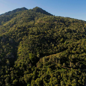 Mount Diablo with a clear blue sky behind