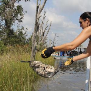 Person in a boat helping to clear up the coast
