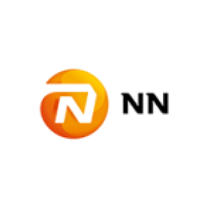 NN Group logo