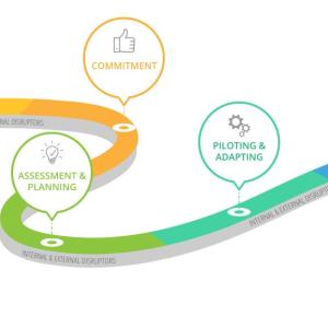 Graphic illustrating the steps of The Nature-Positive Journey