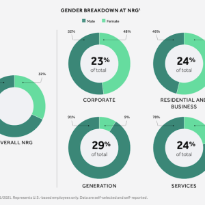 Gender breakdown chart at NRG Energy.