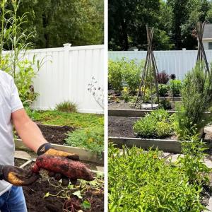 Marty Sidor working in his garden.