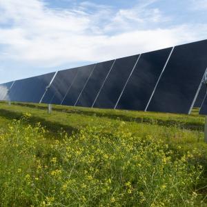 solar panels laid out side by side in a sunny field 