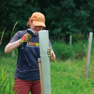 volunteer planting trees