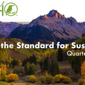 Artistic representation of mountains and trees with the words "Setting the Standard for Sustainability" Quarterly Newsletter Autumn 2024"