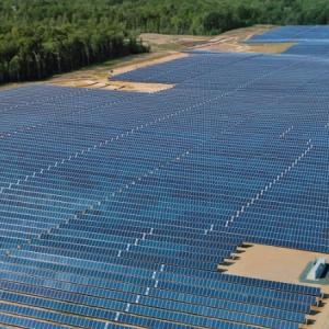 a field of solar panels