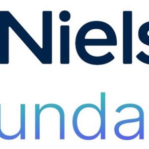 The Nielsen Foundation Logo