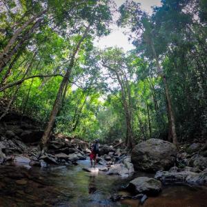 Young man wading through a river under a canopy of trees.