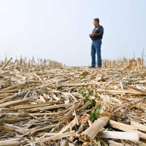 Conservation Tillage