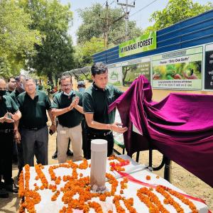 Unveiling of a tree project
