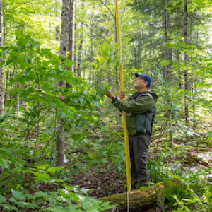 Professor Nathan Swenson inspects a tree being sampled for his gene sequencing and remote sensing project.
