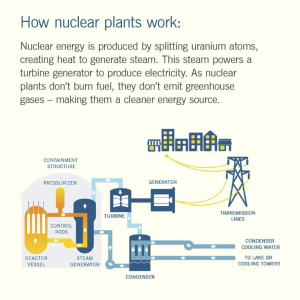 "How nuclear plants work: Nuclear energy is produced by splitting uranium atoms, creating heat to generate steam. This steam powers a turbine generator to produce electricity. As nuclear plants don't burn fuel, they don't emit greenhouse gases - making them a cleaner energy source."