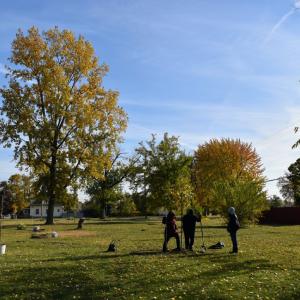 group of people planting tree