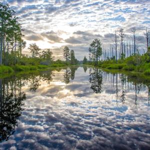 Okefenokee Wildlife Refuge