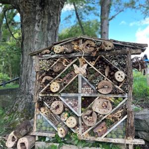 Olympus Energy's winning insect hotel submission