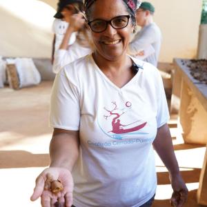 Harvesting baru nuts