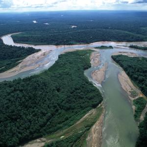 Confluence of Manu River (sediment laden) with clearer Madre de Dios River, former river channel of Manu, plant covered and dry.