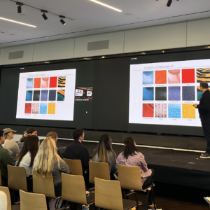 person giving a presentation on a stage