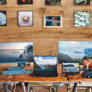 Several monitors and laptops in front of a wood-paneled wall featuring photos of island wildlife