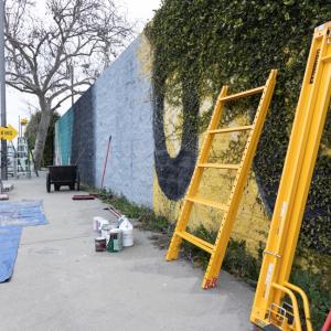 The mural before Edison's volunteer work began, covered in graffiti, then paint and vines.