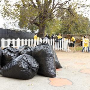 Volunteers cleaned out areas covered in leaves two feet deep, picking up and removing 1,200 pounds of organic waste.