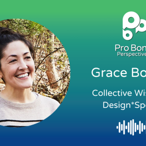 Pro Bono Perspectives Podcast ft. Grace Bonney, Author of "Collective Wisdom" and Design*Sponge