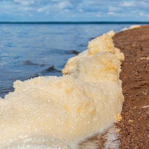 PFAS Foam on a Lake