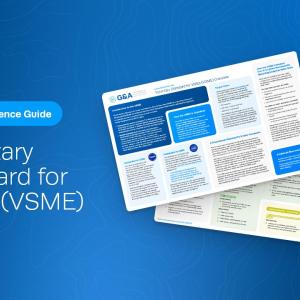 G&A Institute VSME Quick Reference Guide