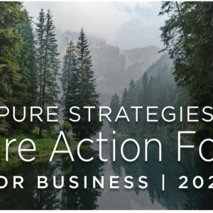 Pure Strategies is now accepting applications for the Nature Action Forum for Business.