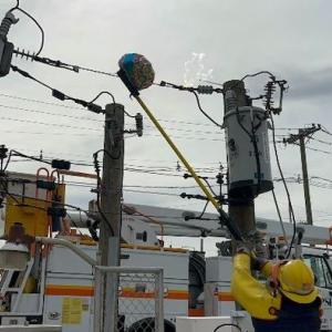 PSE&G lineworkers demonstrate Mylar balloon contact with energized equipment. 