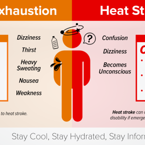 Heat Exhaustion Heat Stroke ACT FAST • Move to a cooler area • Loosen clothing • Sip cool water Seek medical help if symptoms don't improve Dizziness Thirst Heavy Sweating Nausea Weakness ? Confusion Dizziness Becomes Unconscious ACT FAST CALL 911 • Move person to a cooler area • Loosen clothing and remove extra layers • Cool with water or ice Heat exhaustion can lead to heat stroke. Heat stroke can cause death or permanent disability if emergency treatment is not given. NORA LDC NOSH Stay Cool, Stay Hydrat