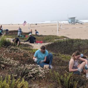 volunteers cleaning up a beach