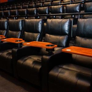 empty rows of leather seats in an auditorium 