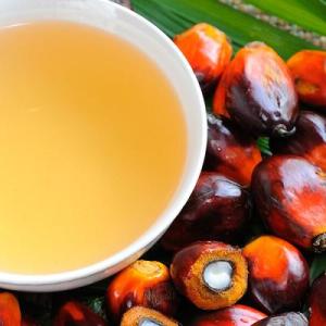 Palm oil on a palm leaf