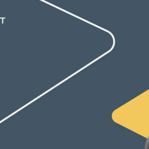 Image of Patricia Dwyer on an amber and grey background