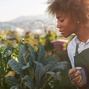 Paul Hilton article - photo