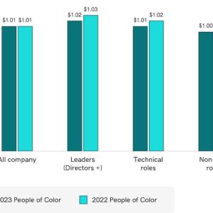 Chart showing U.S. Race and Ethnicity Compensation Data.
