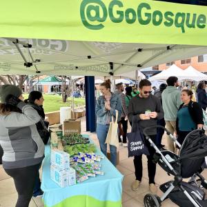 gogosqueeze and people