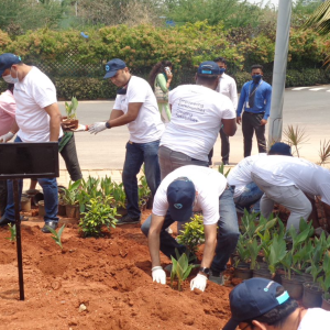 Bread Financial employees gardening