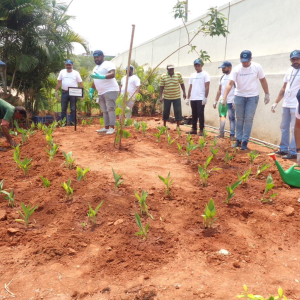 Bread Financial employees gardening 