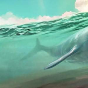 Illustration of a porpoise swimming underwater 