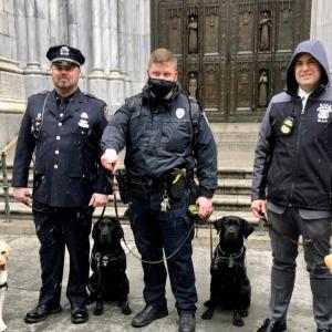 Police officers with Labrador puppies