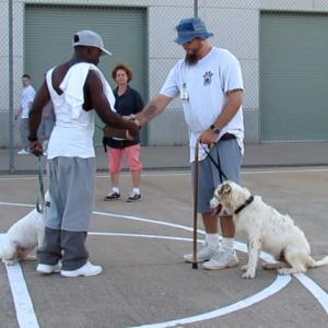 incarcerated people with puppies