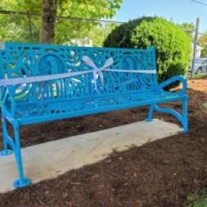  unveiling of the the Aflac park bench