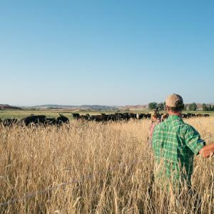 RC and Annie Carter, farmers