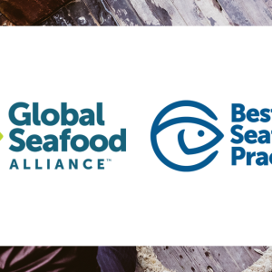 Logos for Global Seafood Alliance and Best Seafood Practices